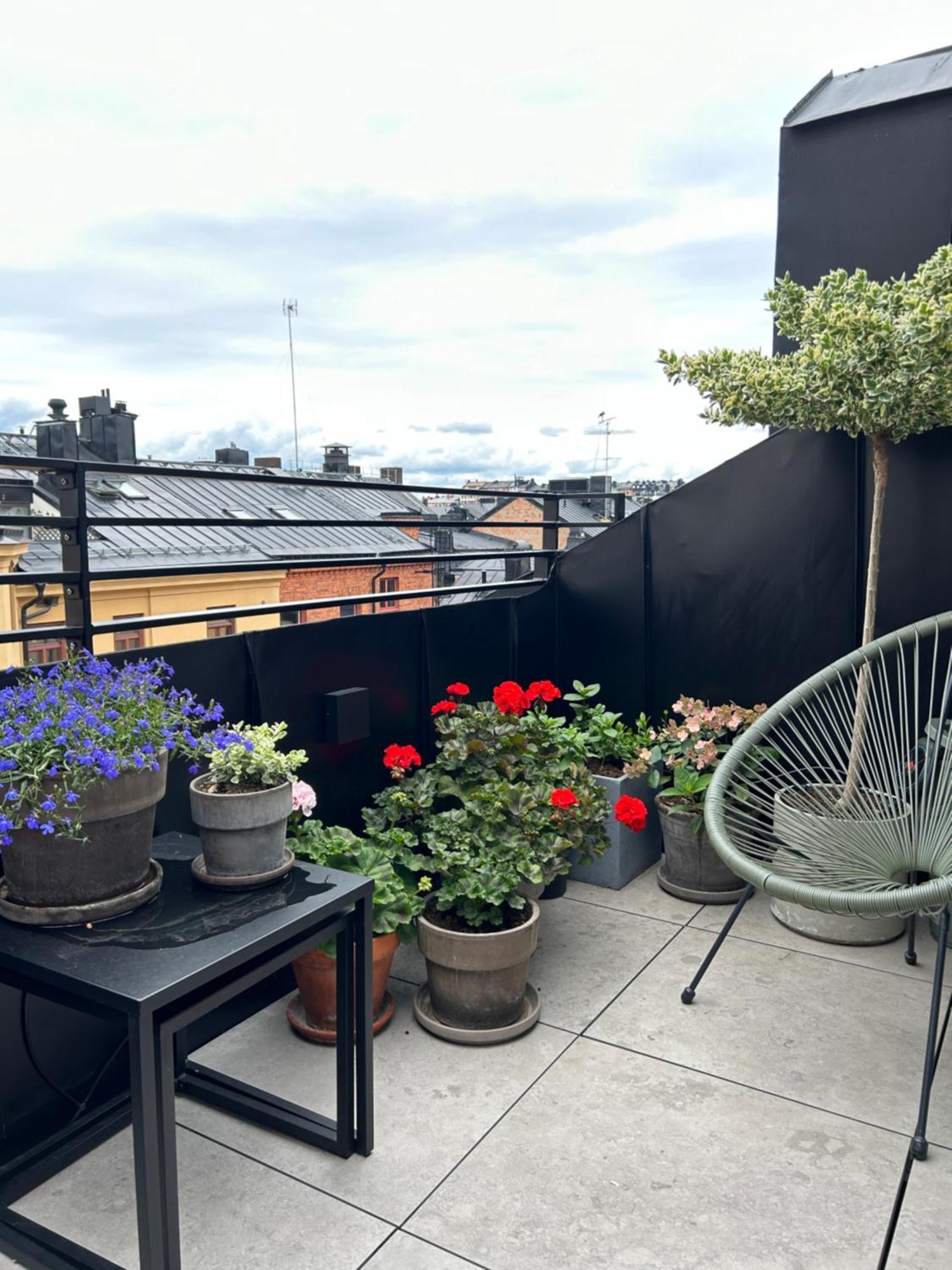 Luxury Floor Trendy Sodermalm Stockholm