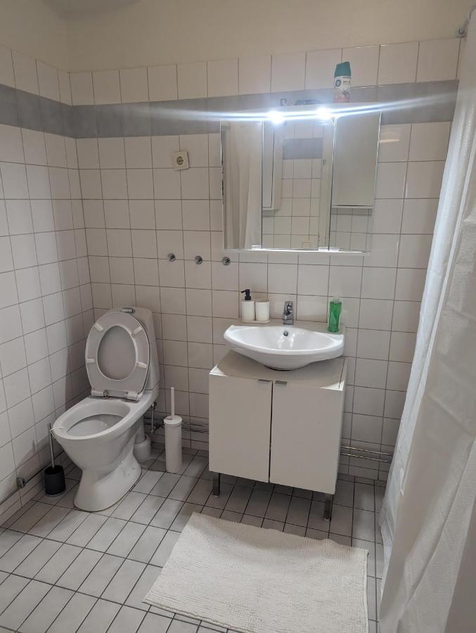 Large Stylish In Appartement