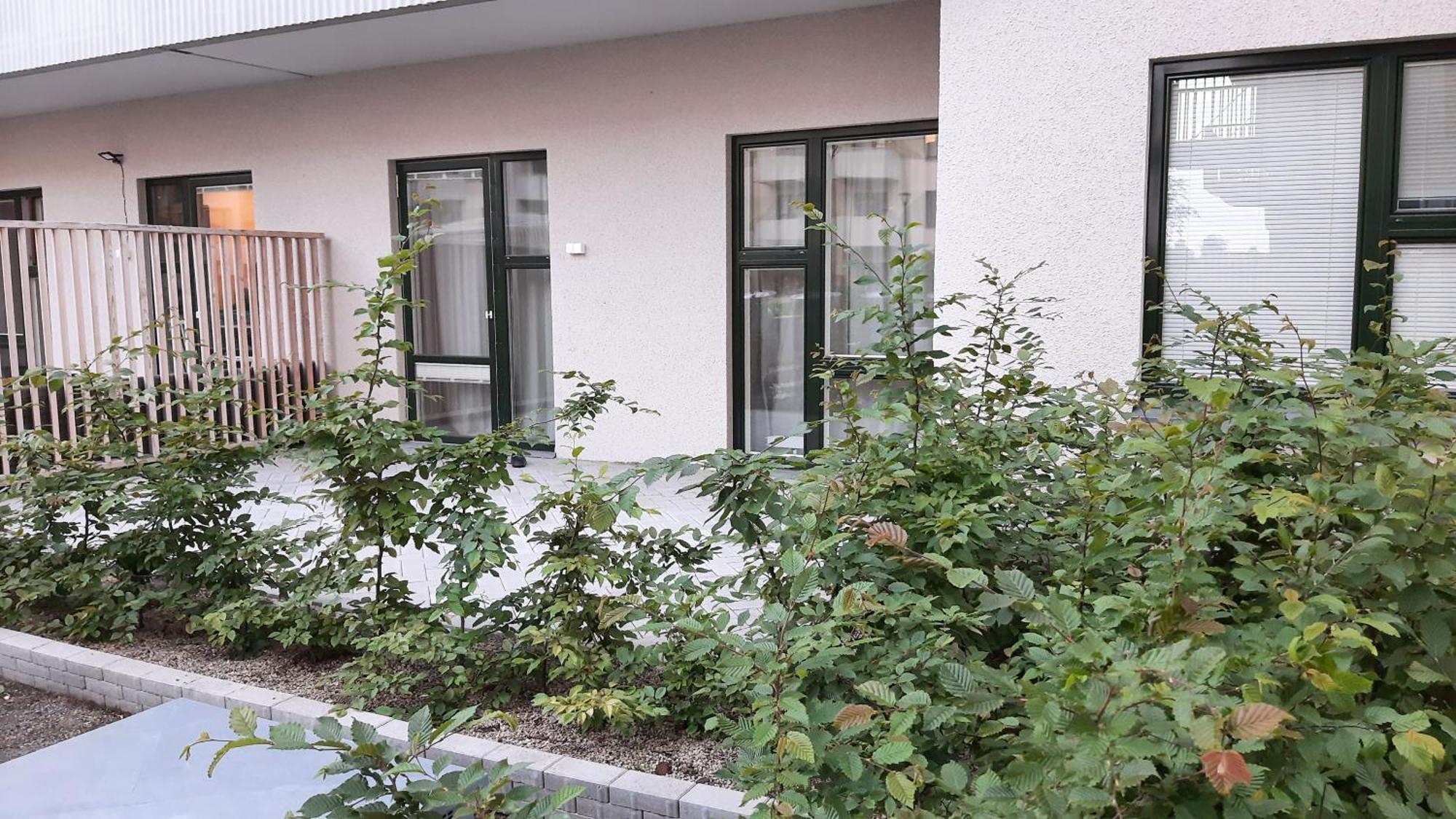 Private In Shared Lovely, Amazing, Modern +garden +bbq Homestay *