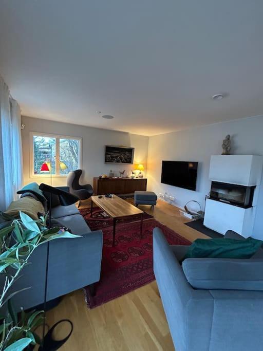 Spacious House Close To Nature And City.