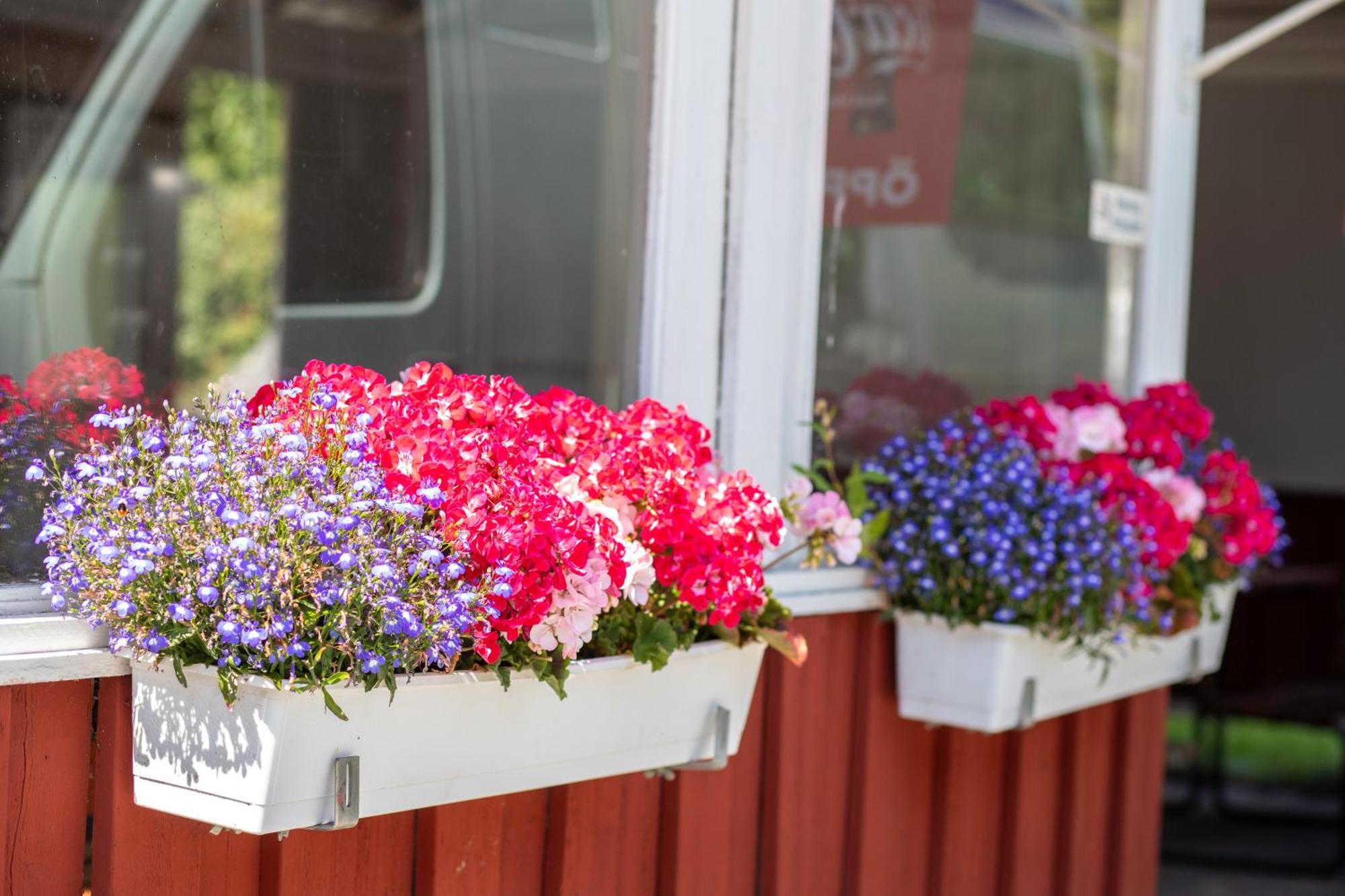 Camping ängby 2*