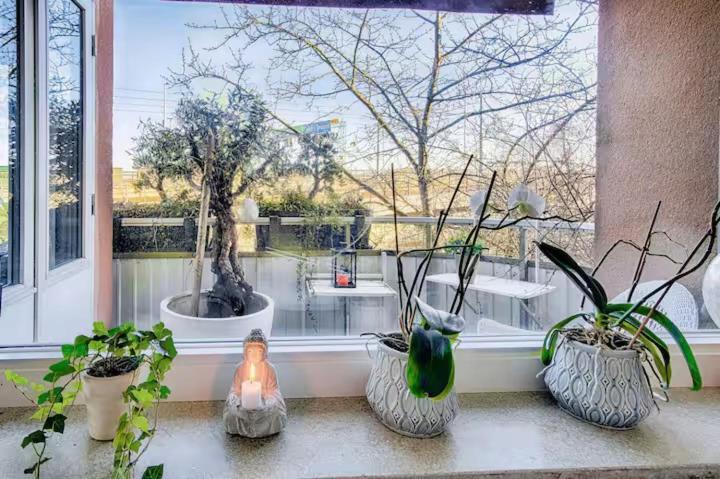 Spacious 5 Bedroom House In Villa