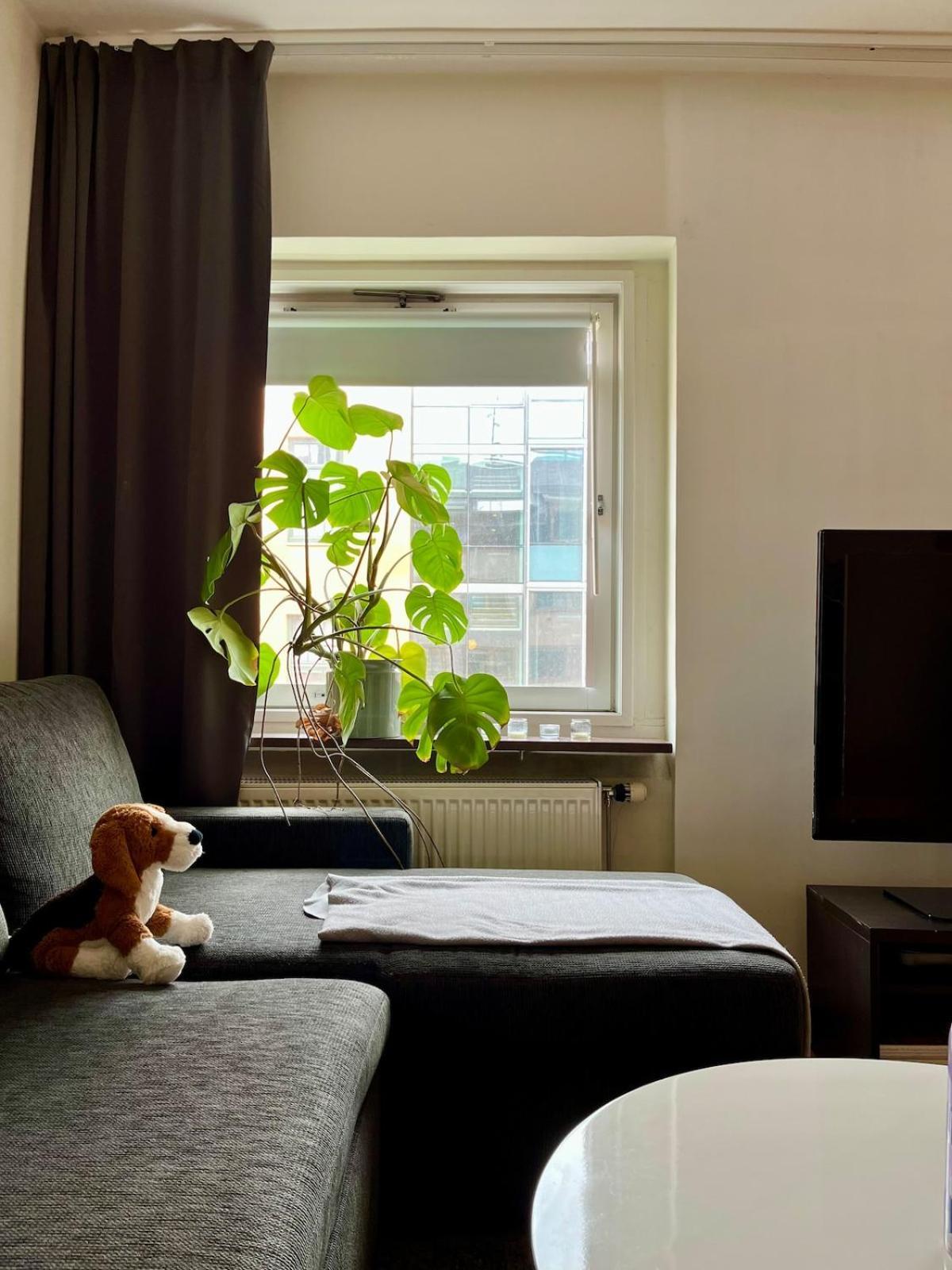 Apartment In The Heart Of The