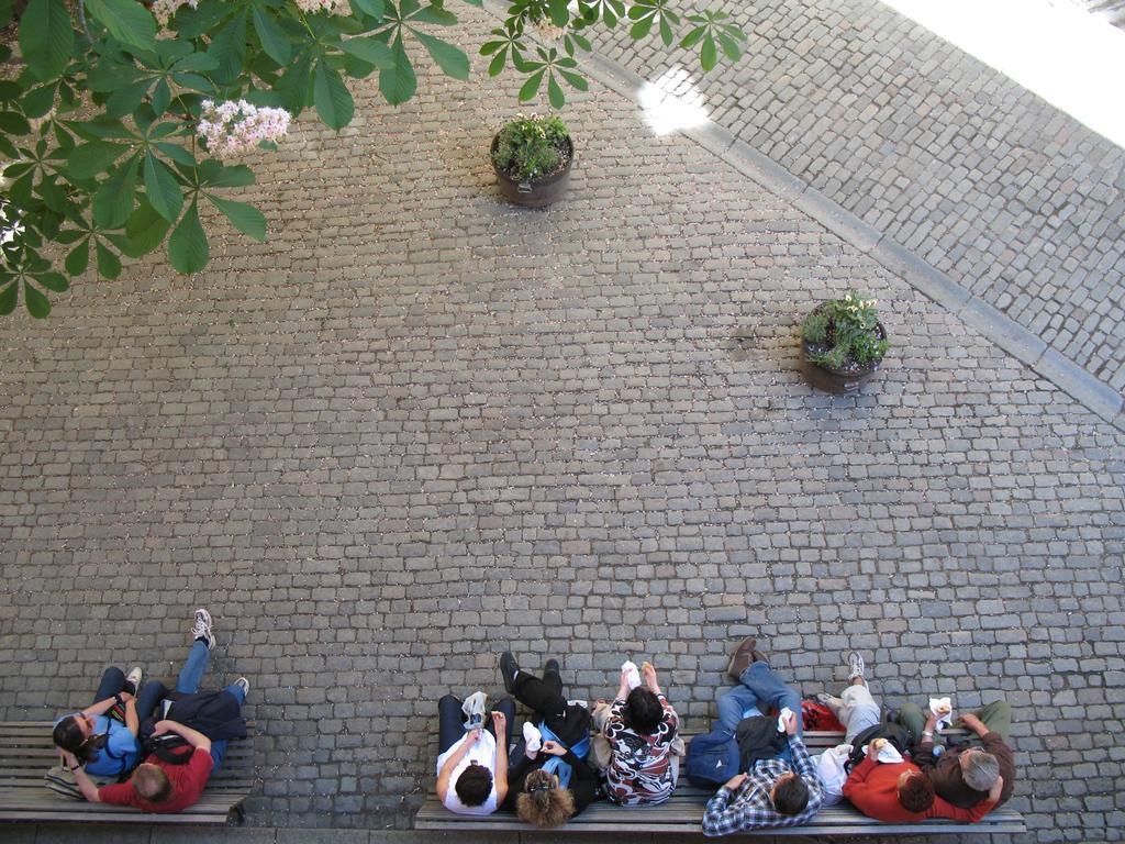 Albergue Castanea Old Town
