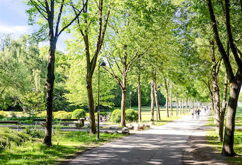 Forenom Solna Stockholm