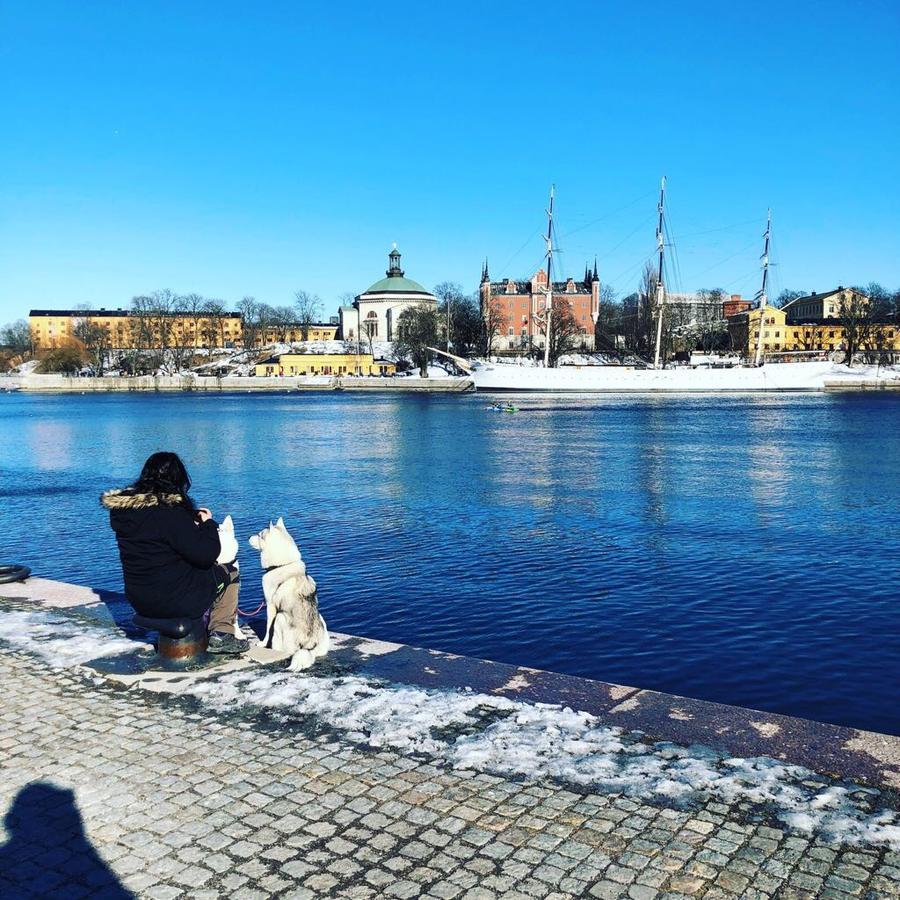 Hostel Dockside Stockholm