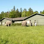 Bredaengs Hostel
