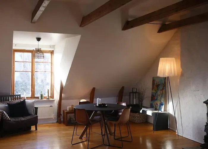 Spacious Penthouse Close To Center