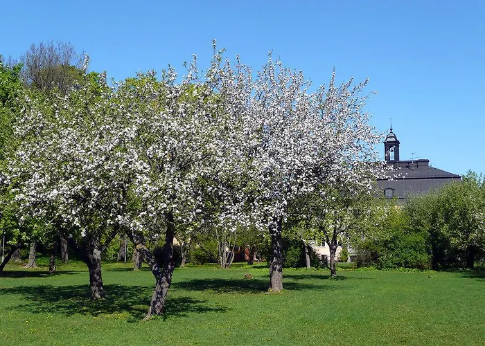 Hotel Haga Kristineberg