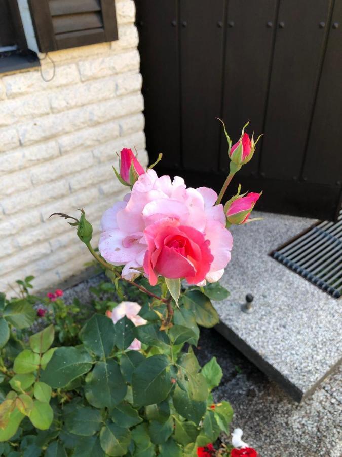 Homestay Anitas Stockholm/vaellingby Stockholm