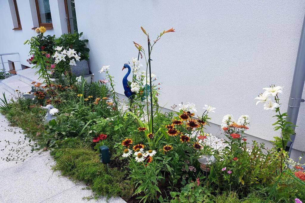 Apartment Cozy With Garden *