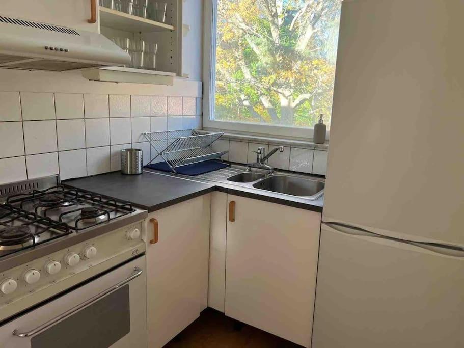 Mysiga Och Smidiga Lagenheter I * Stockholm