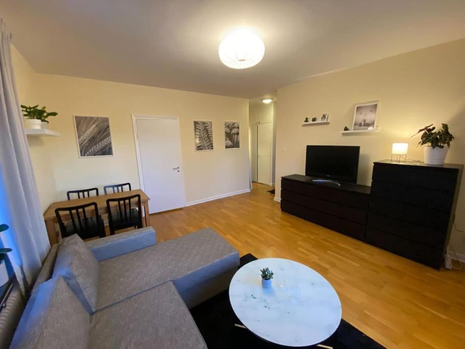 Apartment Mysiga Och Smidiga Lagenheter I *