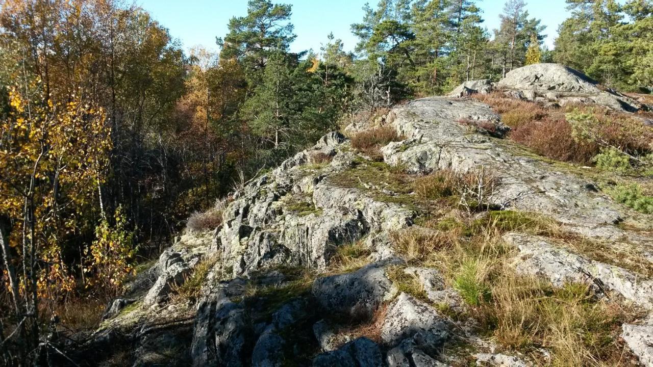 In Nature 12 Min From Free Bikes