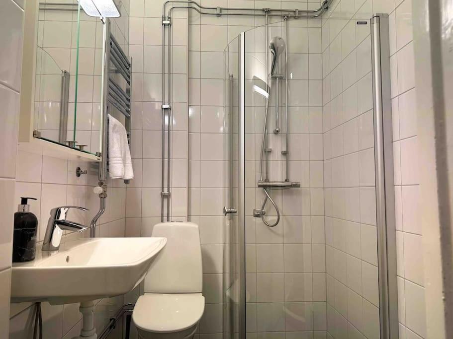 Apartment Sveavaegen *