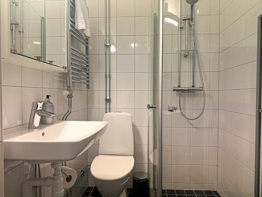Sveavaegen Apartment