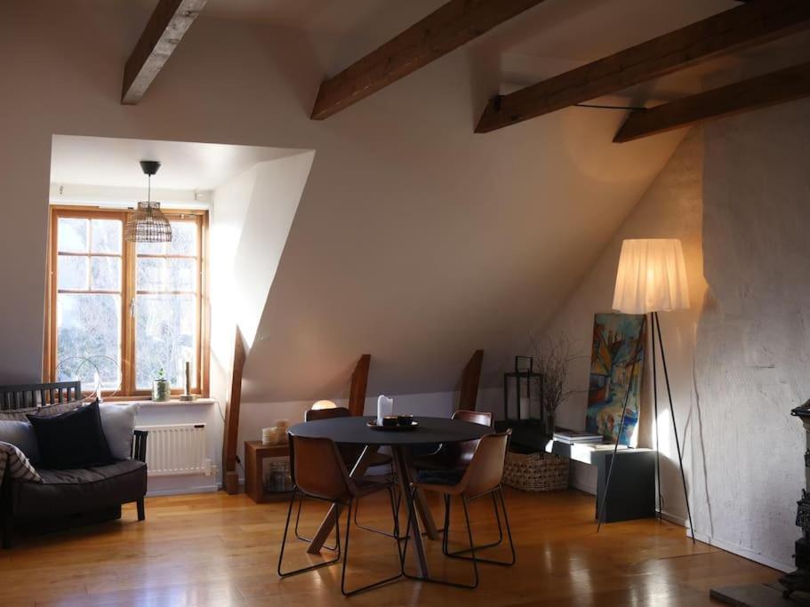 Spacious Penthouse Close To Center