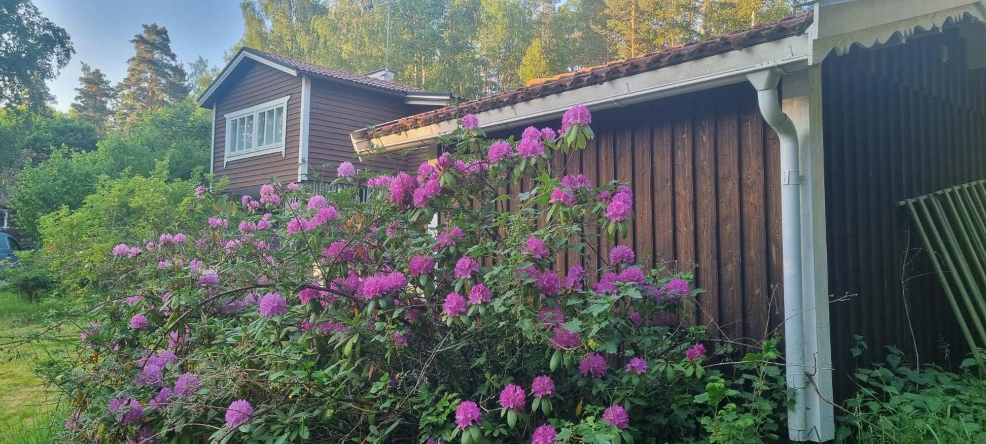 Private Lake Cabin Villa Stockholm