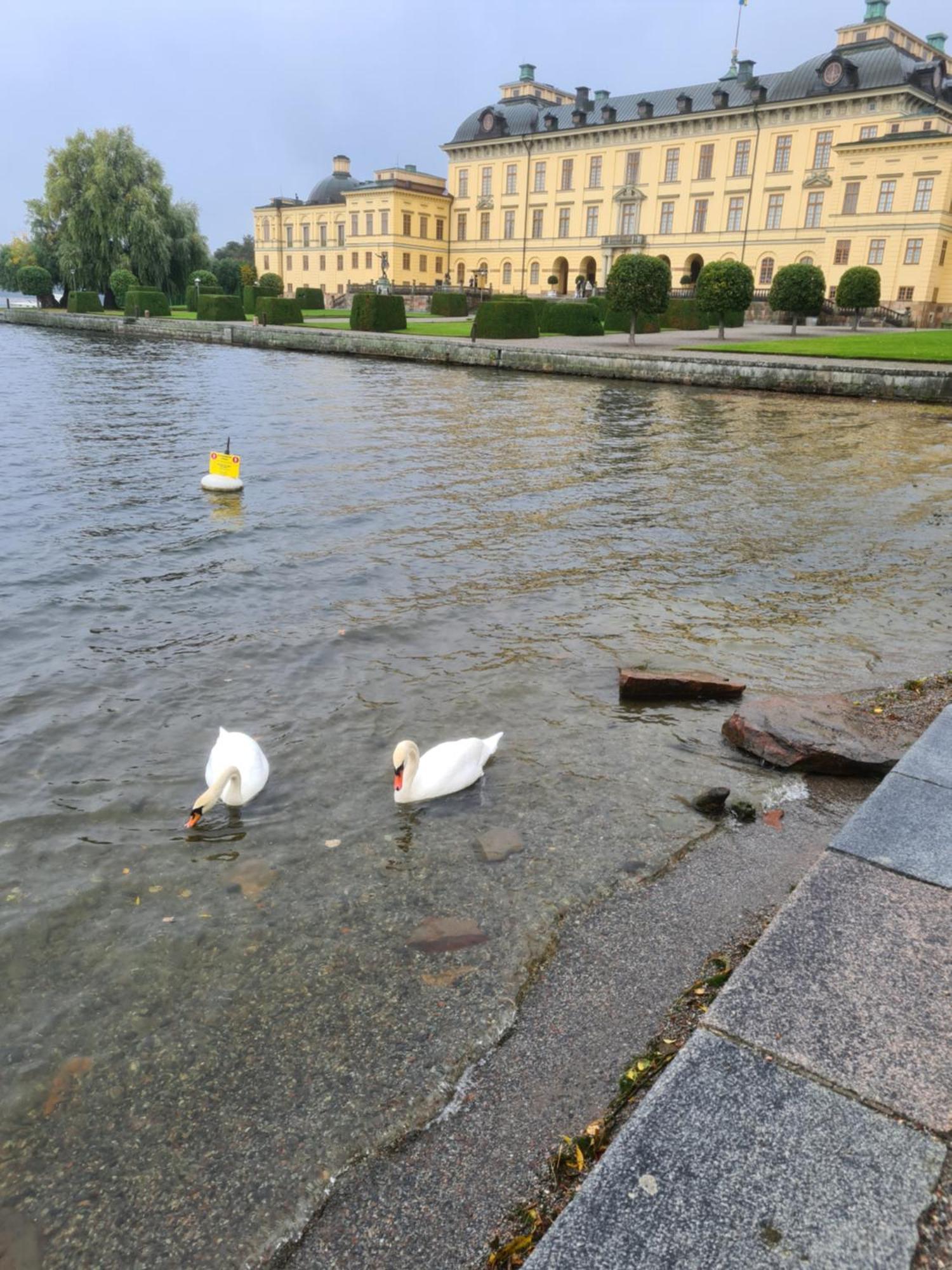 Jakan Lägenhet Stockholm