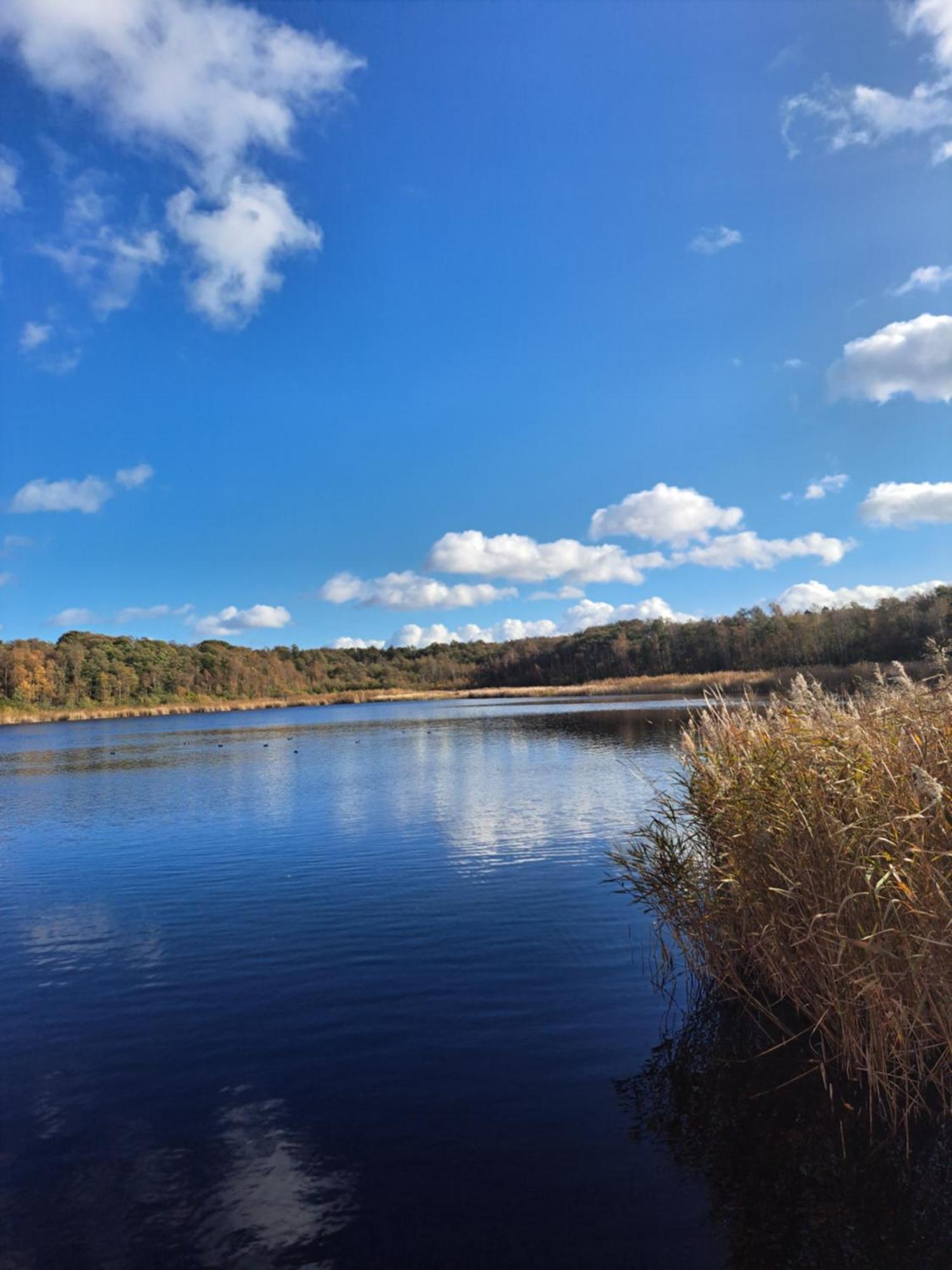 Homestay In Bromma, *