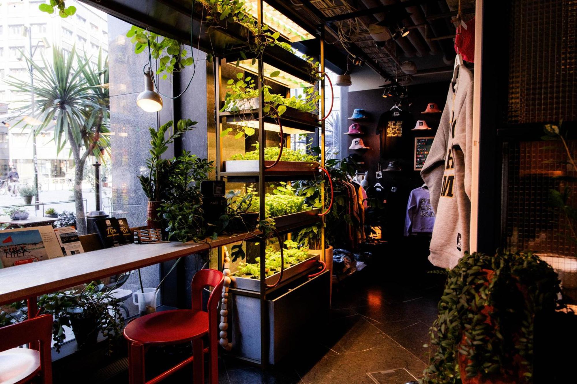 Hobo 4* Stockholm