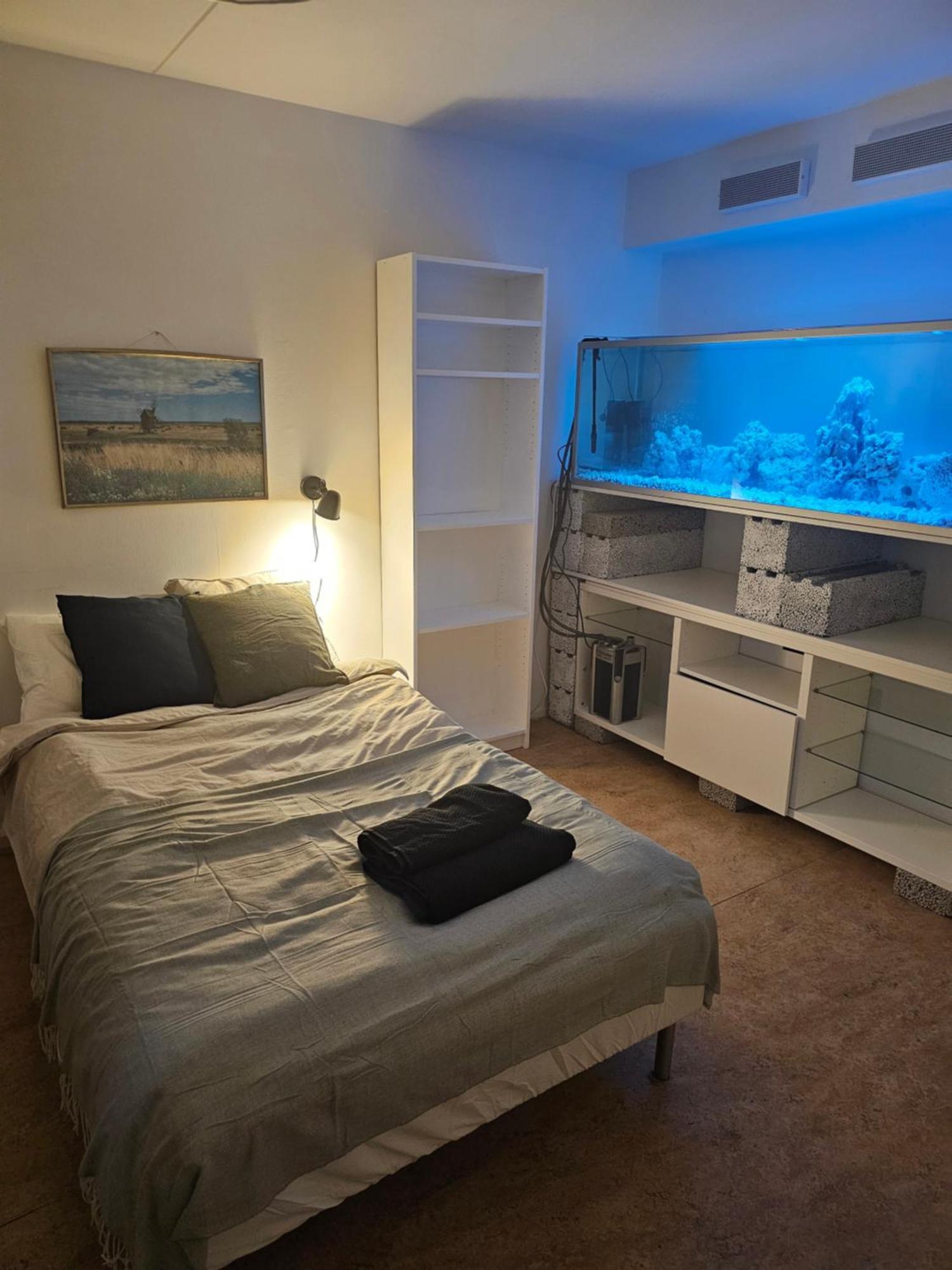 With Private Entrance And Ensuite Bathroom *