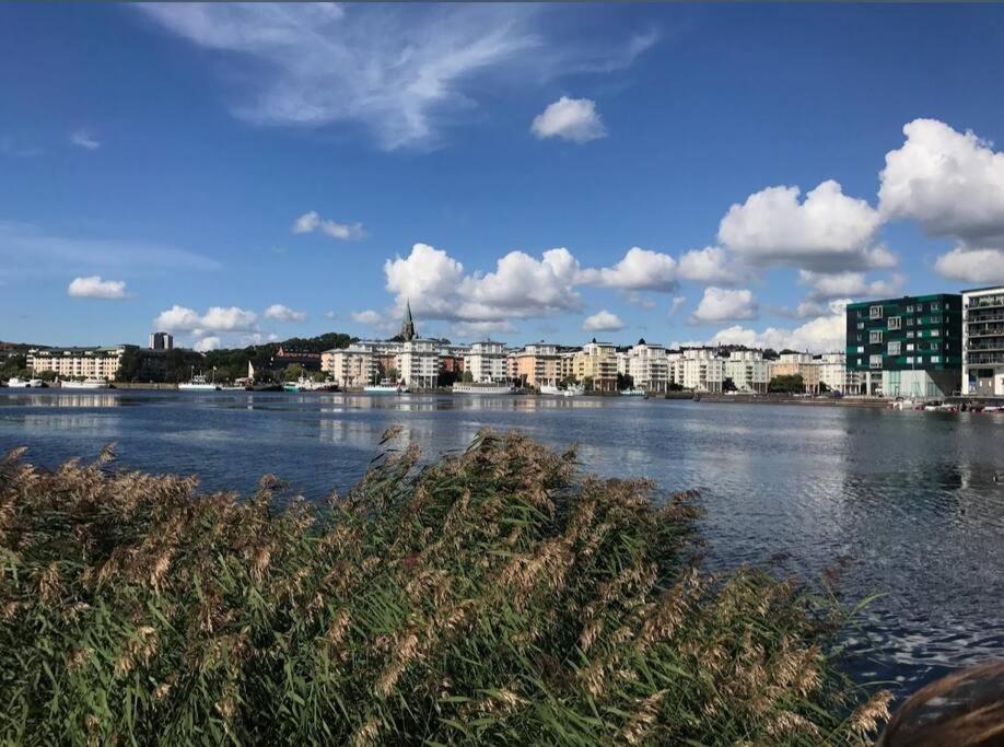 A Between Nature And Hammarby Sjoestad Apartment Stockholm