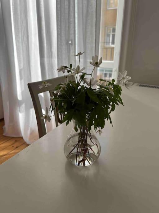 Modern Laegenhet Med Balkong