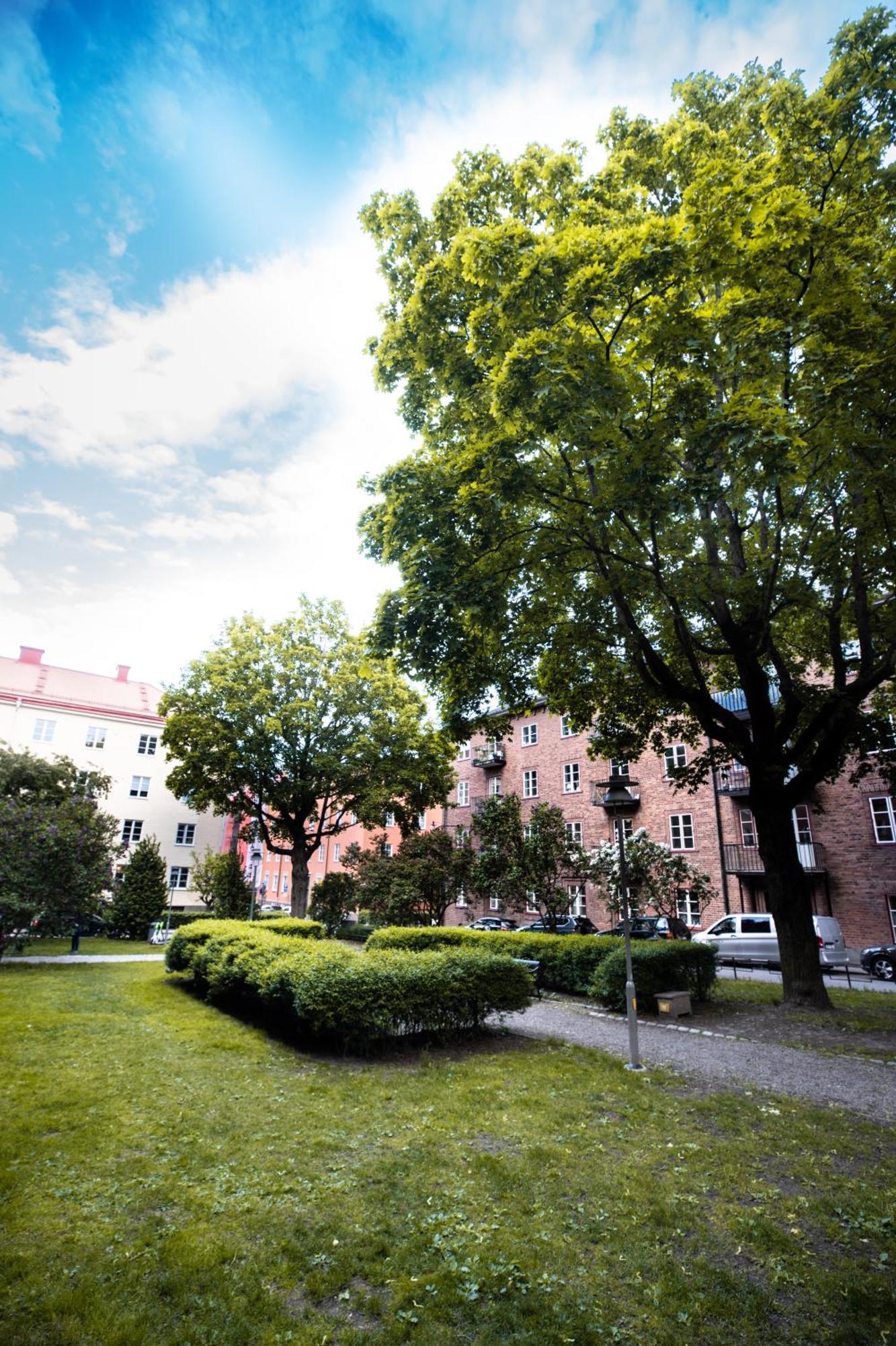 Spacious Oasis Only Minutes From The Center Apartment *