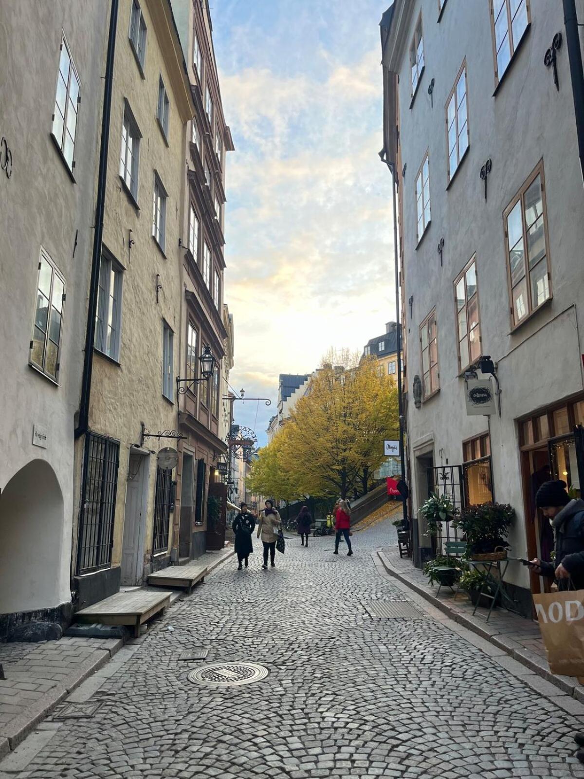Luxury In Gamla Stan, Floor