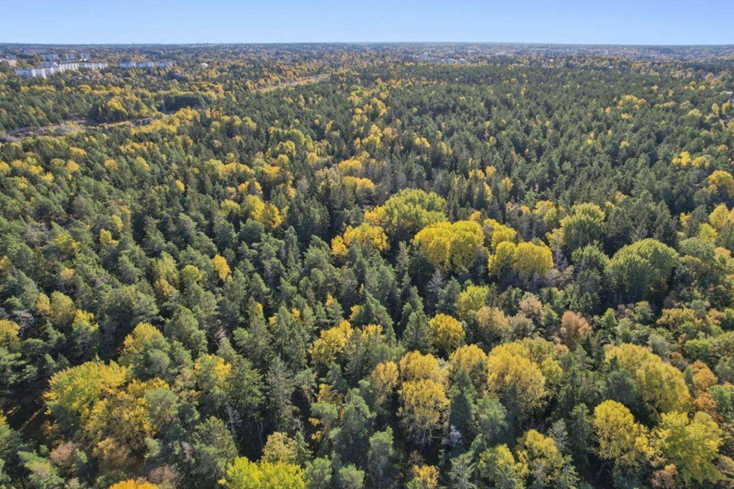 Rymlig Naera Och Stockholm