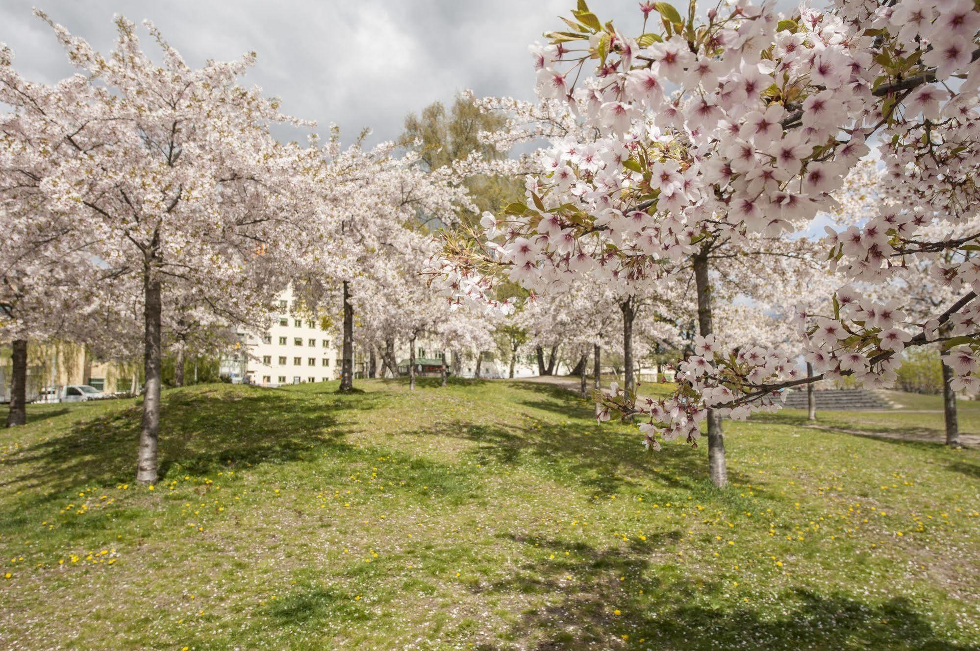 Hotel L Hammarby Sjoestad 3*