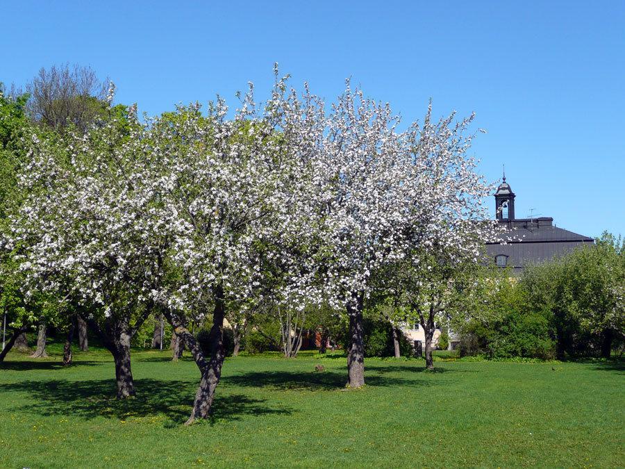 Haga Kristineberg Hotell 3*