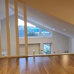 Smakfullt Attefallshus Med Stort Loft Naera Naturen