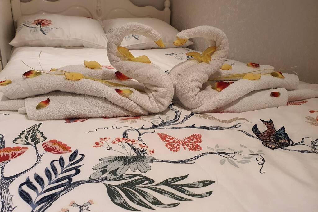 Cozy With Garden Apartment *