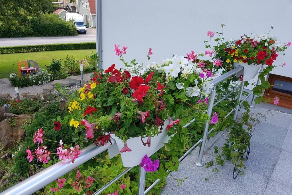 Cozy With Garden * Stockholm