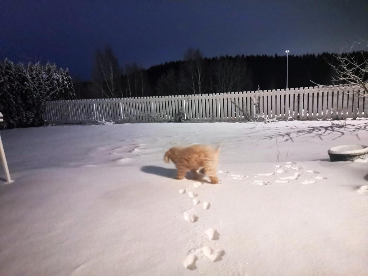 A In A Close To Arlanda Airport Homestay