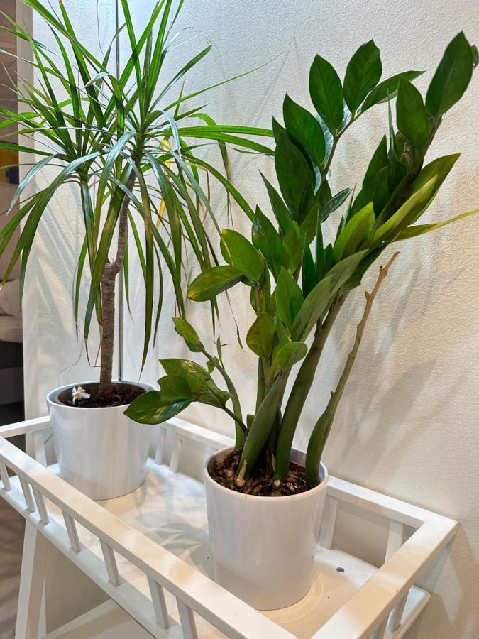 Apartment Travel