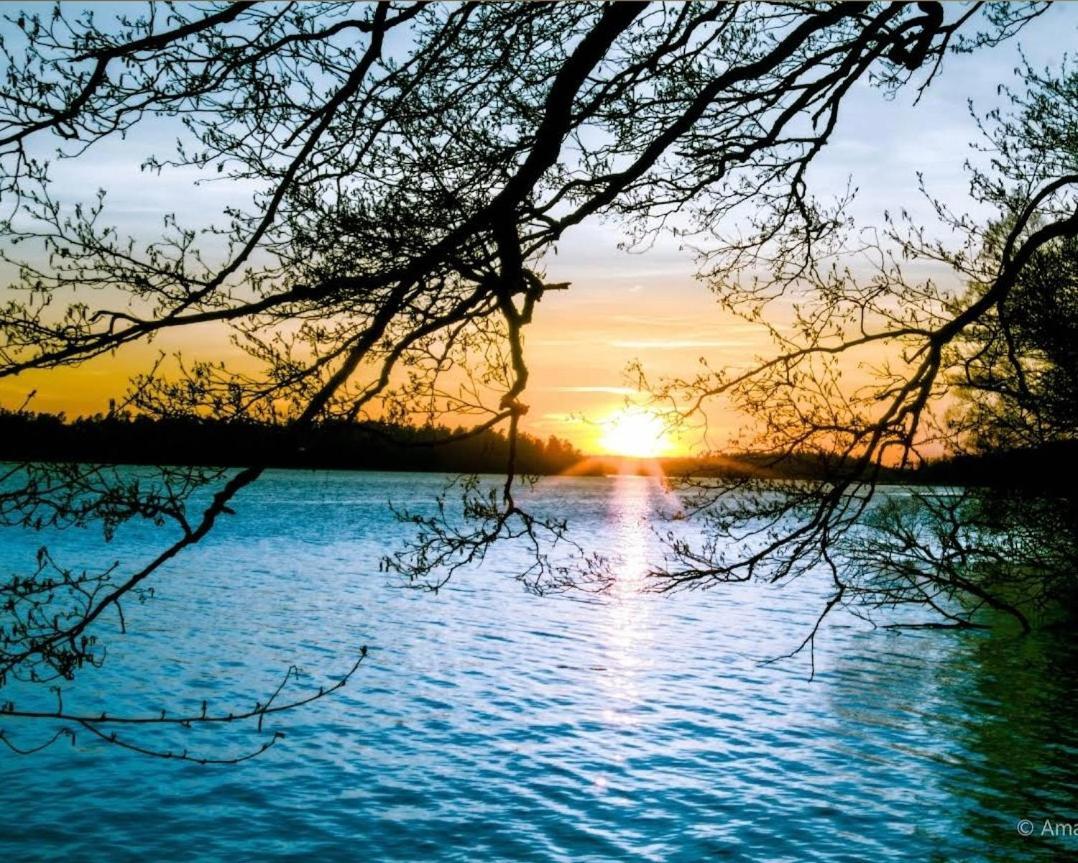 Close To The Metro And The Beach!!! With A View Of The Scandinavian Forest Apartment *
