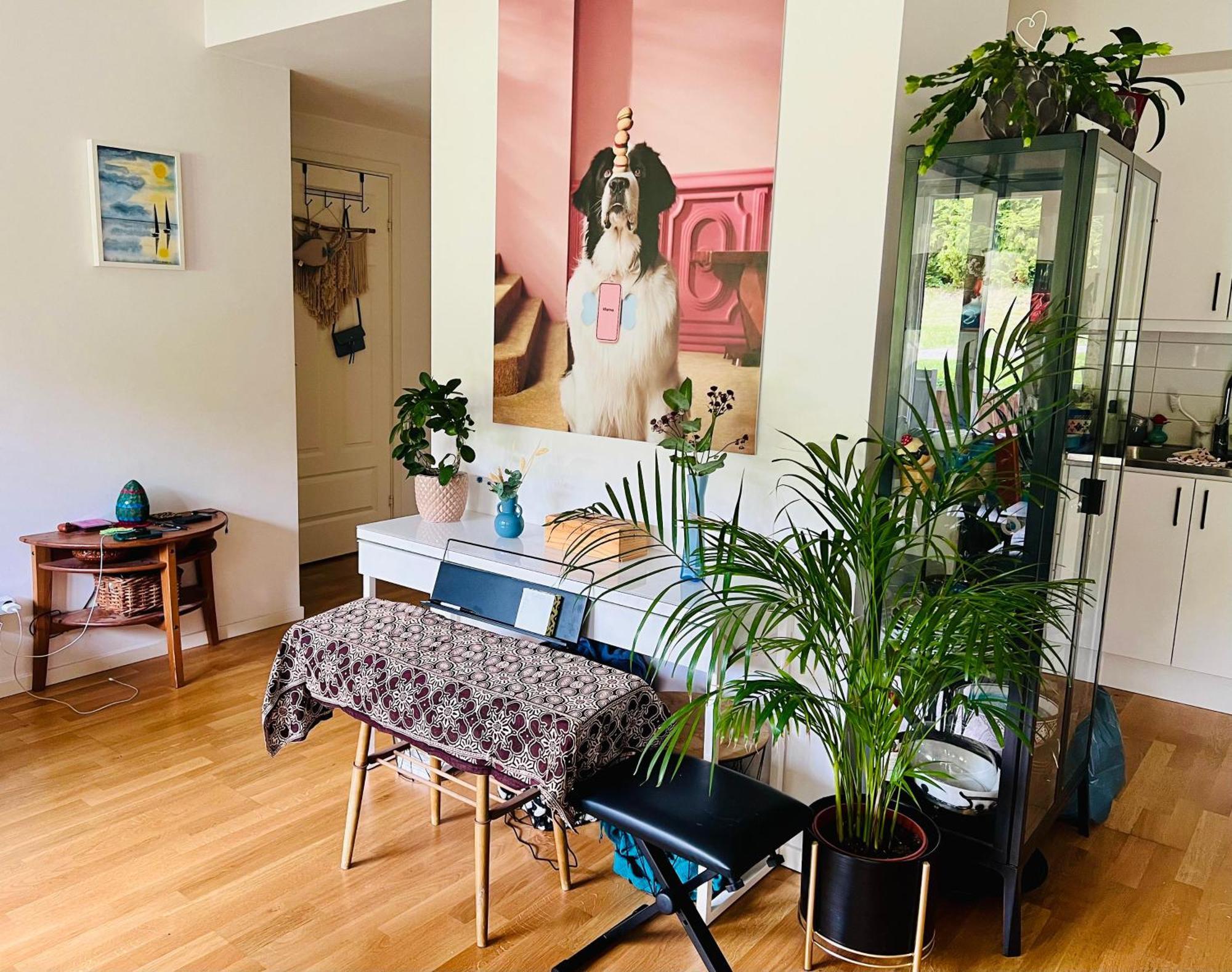 Cozy Place For Family Or Friends Apartment *