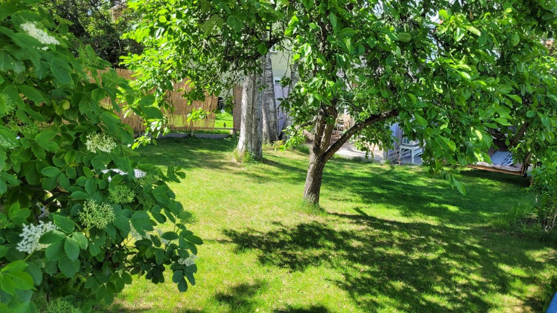 Vakantiehuis Sparkling Newly Built House Close To & Nature